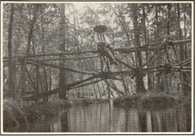 Fishing off the Cantilever Bridge.