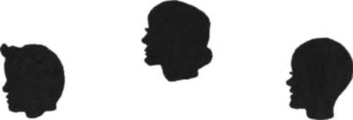 A Profile Collection