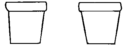 Two Races