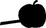 your initial grow on an apple