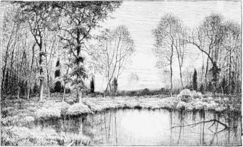 Drawing by Henry Farrer.