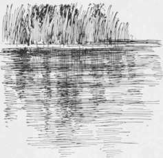 Fig. 23.   Reflections and dark streaks upon water, rendered with horizontal and vertical lines.