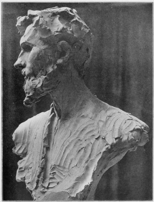 Profile View of the Bust at the end of the First Stage of Development.