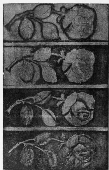 Progressive Stages in Pyrogravure, ending with Relief Burning.