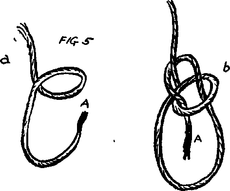 The Bowline Knot