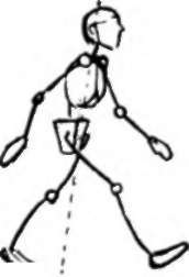 Hips