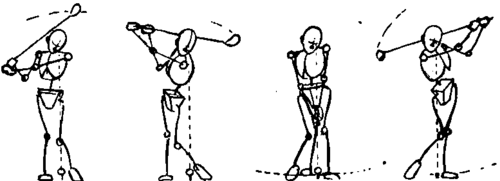 Movement Of The Shoulders