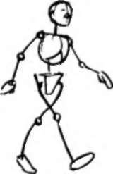 Pelvis