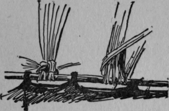 Tying Ends of Warp at Cloth Beam End