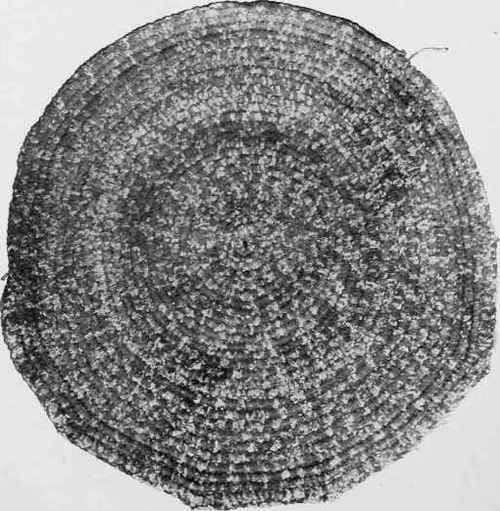 Chenille Rug Reinforced With Rope