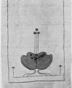 Household Linen Lends Itself To Appliqu�