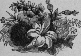 Preservation Of Natural Flowers 71