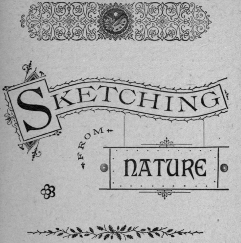 Sketching from Nature 9