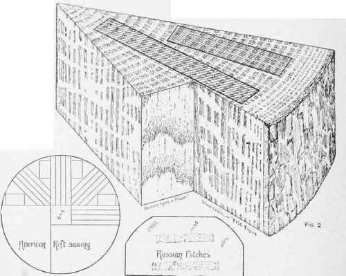 Fig. I. Wainscot Oak.