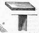 Engraving 437