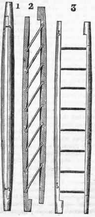 Ladder 13