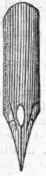 Pen 174