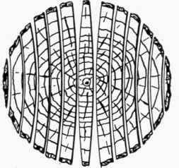 Fig. 113. Tendency in Warping.