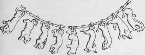 Fig. 105. Necklace with Pendants
