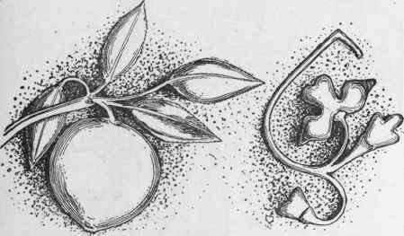 Venetian Work 113