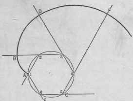 Fig. 229.   Enlarged View of the Eye of the Spiral in Fig. 228.