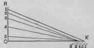 Fig. 584.   Diagram, of Triangles in Top Half.