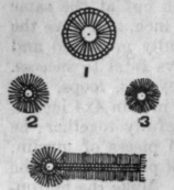 Fig. 21.   Eyelets Nos. 1, 2 and 3. Buttonhole.