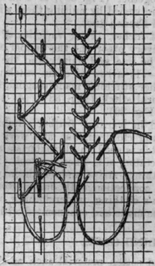 Fig. 38.   Feather StitchinG.