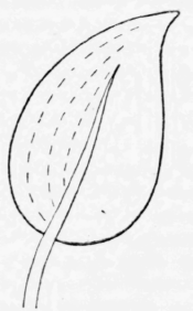 Chapter-II-Embroidery-Stitches-Chain-Stitch-c-3