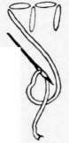 Drawn Thread Work 101