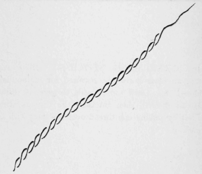 106-Kensington-Stitch-168