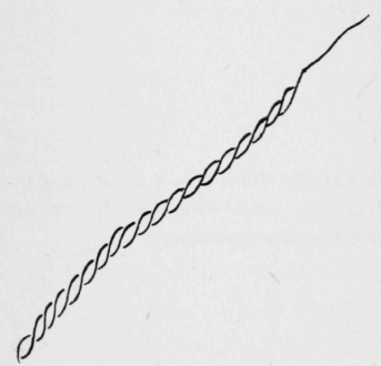 120-Outline-Or-Stem-Stitch-191