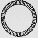 143-Ring-Stitch-224