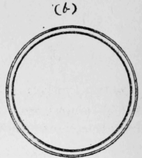 173-Tambour-Stitch-269