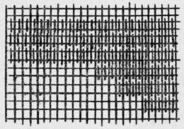 174-Tapestry-Stitch-270