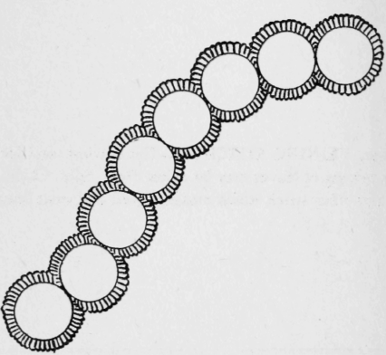 192-Watchguard-Stitch-298