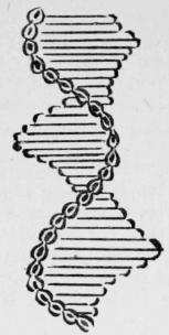 23-Buttonhole-With-Chain-Stitch-44