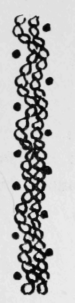67-Double-Waved-Chain-And-Dot-Stitch-117