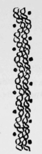 67-Double-Waved-Chain-And-Dot-Stitch-118