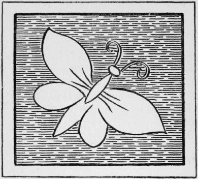 95-Grounding-Stitches-155