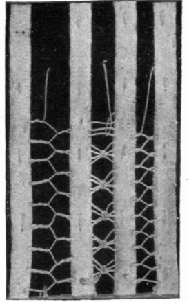 Model-23-Chain-Feather-Herring-Bone-Kensington-43