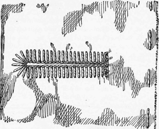 XXII-Fastenings-83