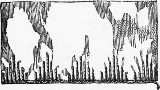 XXIII-Decorative-Stitches-95