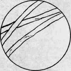 Artificial Silk.