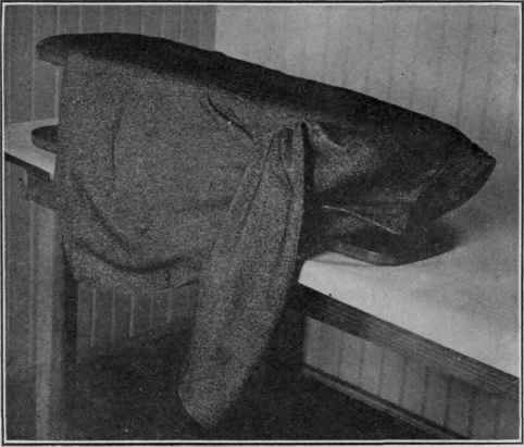 Pressing A Coat 245