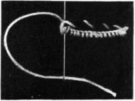 Sampler Number Five Buttonholes And Loops 13