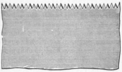 Hand Saws Their Construction And Use 58