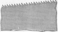 Hand Saws Their Construction And Use 59