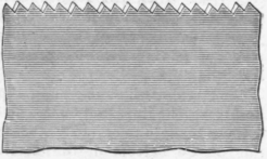 Hand Saws Their Construction And Use 60