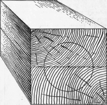 Plain Cored Cylinders 231